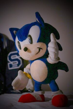 First sonic plush img1.jpg